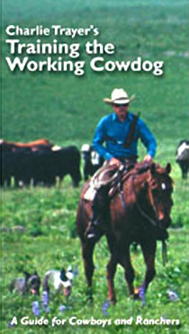 Training the Working Cowdog, A Guide for Cowboys & Ranchers by Charlie Trayer.